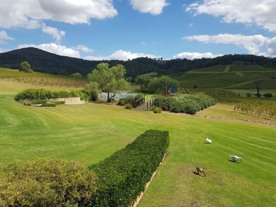 From Sydney: Luxury Hunter Valley Private Tour - Key highlights at a glance