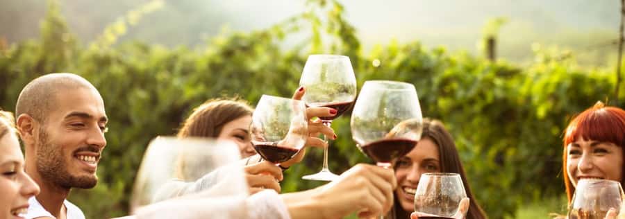 From Sydney: Luxury Hunter Valley Private Tour - The private driver-guide experience (and why Kevin gets mentioned)