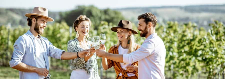 From Sydney: Luxury Hunter Valley Private Tour - Wollombi coffee, then into wine country