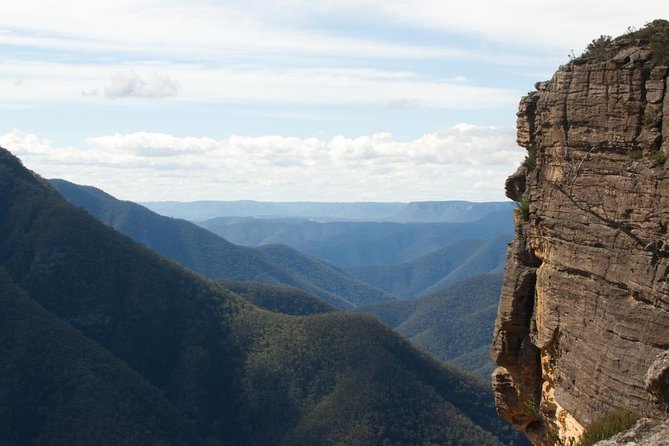 Inside the Greater Blue Mountains World Heritage - A Private Wildlife Safari Overnight - Key highlights that make this overnight safari work