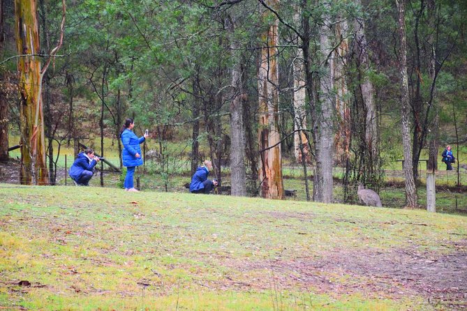 Inside the Greater Blue Mountains World Heritage - A Private Wildlife Safari Overnight - Blackheath Hub and the lunch rhythm you should plan for