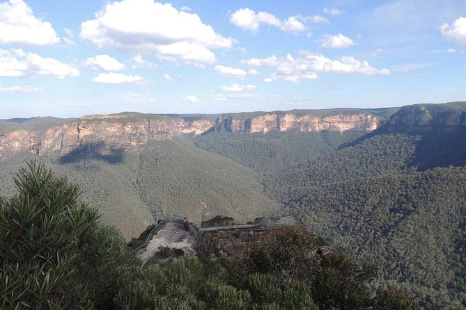 Inside the Greater Blue Mountains World Heritage - A Private Wildlife Safari Overnight - Jenolan Caves: geology, wildlife chances, and cave time