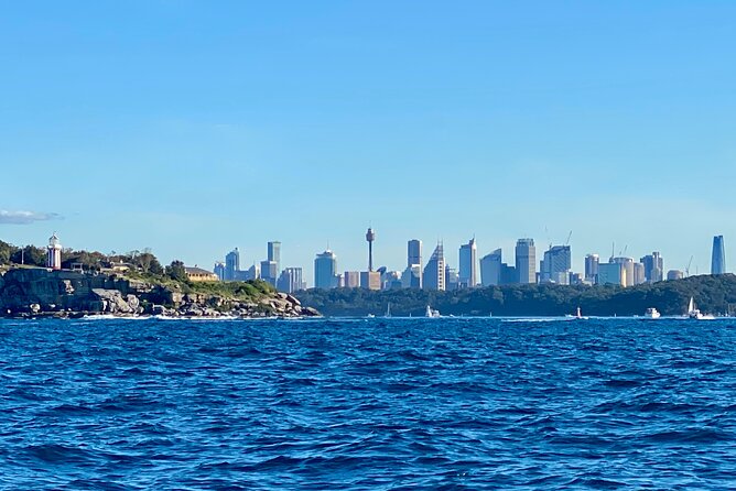 Sydney Beaches Half Day Drive and Walk Tour - Dover Heights and Diamond Bay: ocean cliffs plus city views