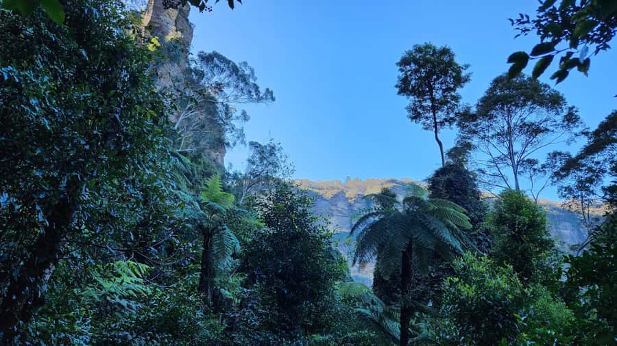 Sydney Blue Mountains, Scenic World, Featherdale (Private) - Lunch Time in Katoomba: How to Use Your 50 Minutes
