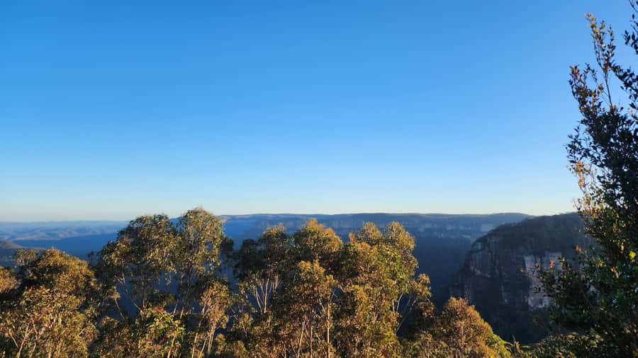 Sydney Blue Mountains, Scenic World, Featherdale (Private) - What You Pay For: Ticket Costs and Real Value